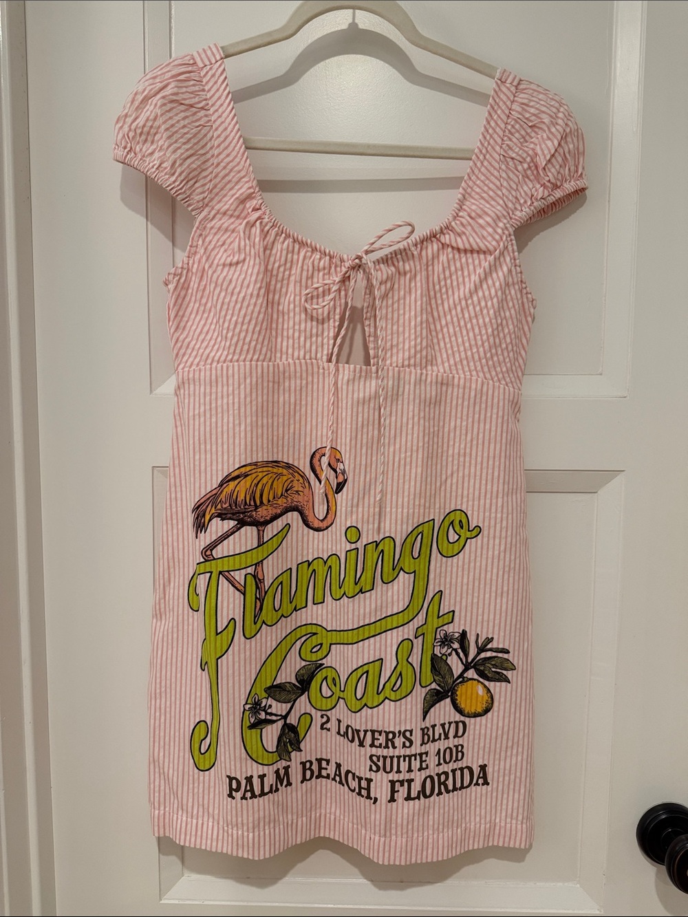 Flamingo Coast Pink Stripe Mini Dress